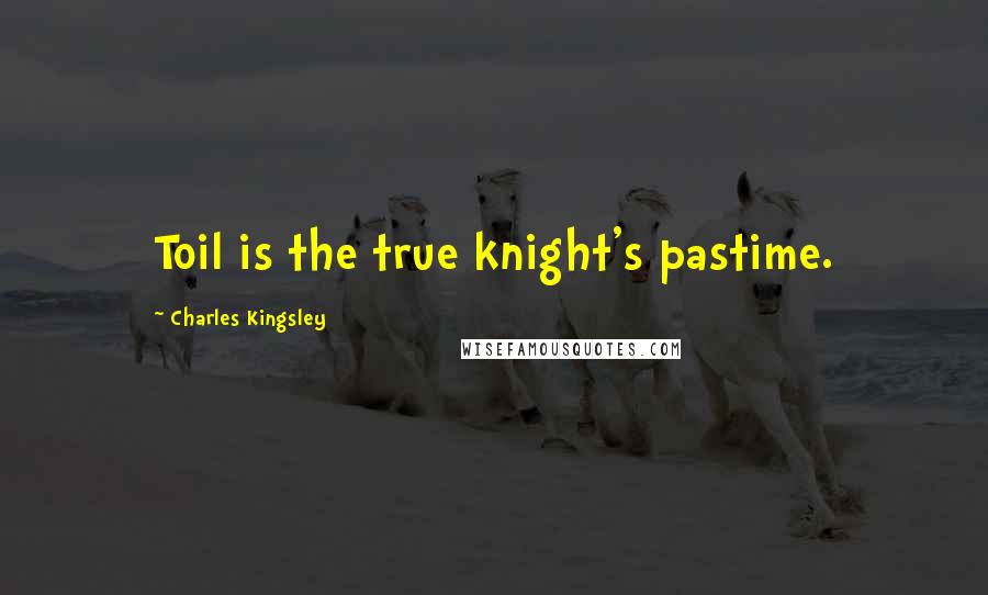 Charles Kingsley Quotes: Toil is the true knight's pastime.