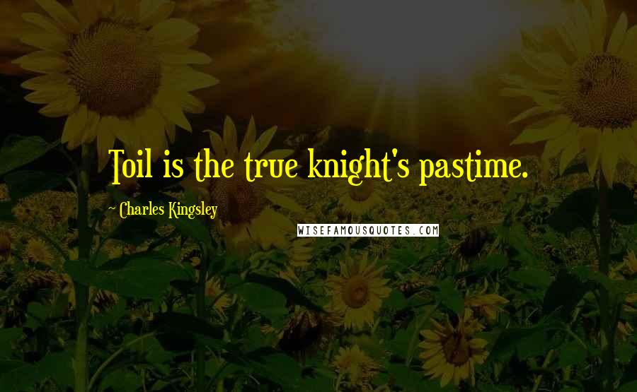 Charles Kingsley Quotes: Toil is the true knight's pastime.