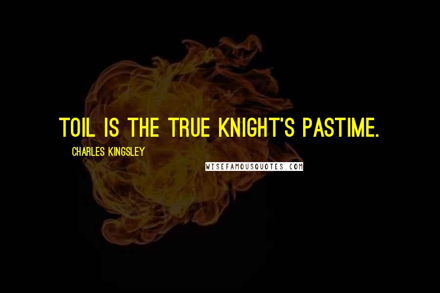 Charles Kingsley Quotes: Toil is the true knight's pastime.