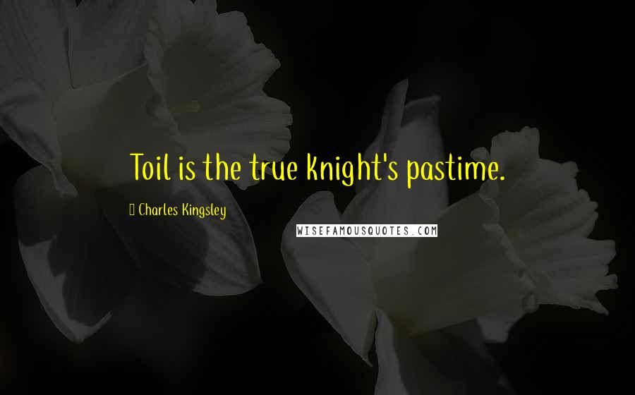 Charles Kingsley Quotes: Toil is the true knight's pastime.