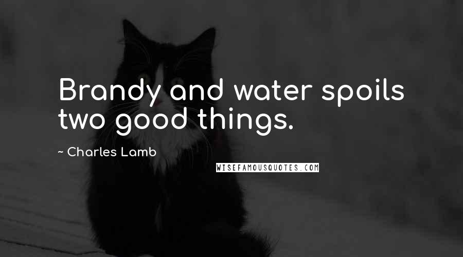 Charles Lamb Quotes: Brandy and water spoils two good things.