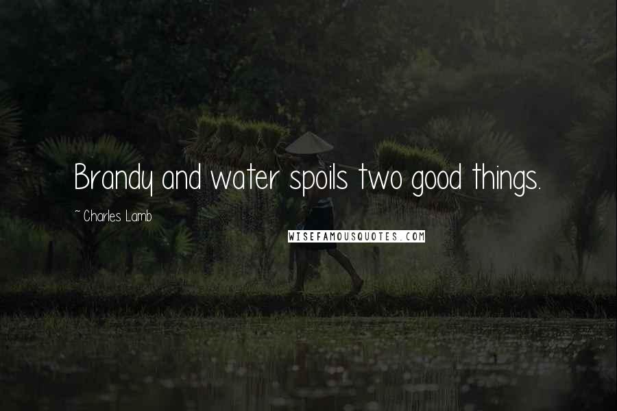 Charles Lamb Quotes: Brandy and water spoils two good things.