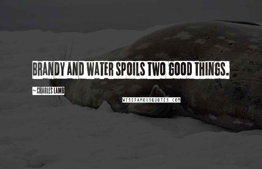 Charles Lamb Quotes: Brandy and water spoils two good things.