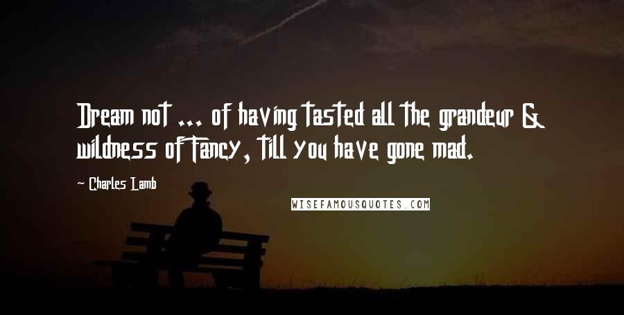 Charles Lamb Quotes: Dream not ... of having tasted all the grandeur & wildness of Fancy, till you have gone mad.