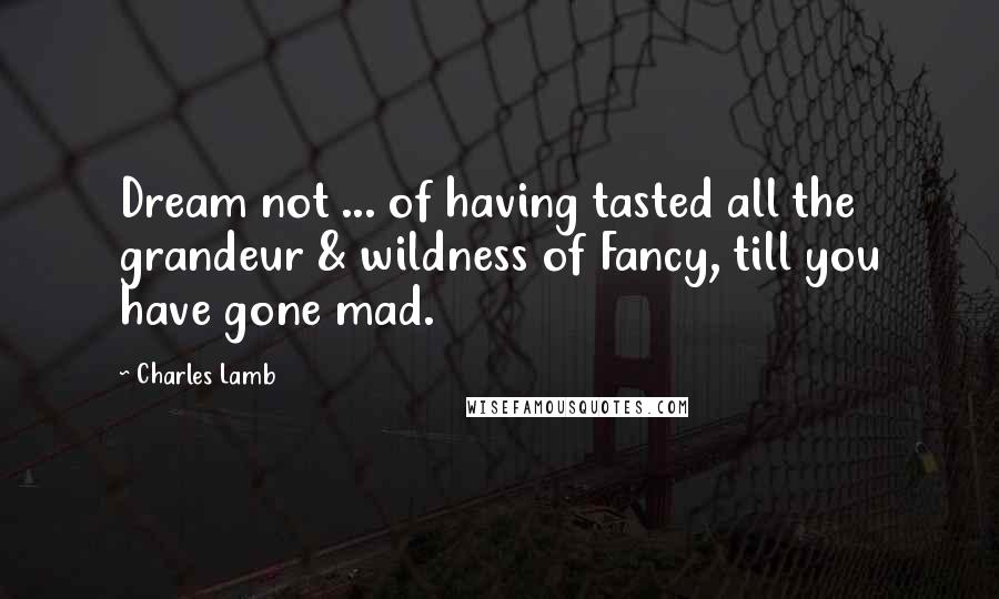 Charles Lamb Quotes: Dream not ... of having tasted all the grandeur & wildness of Fancy, till you have gone mad.