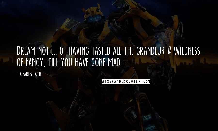 Charles Lamb Quotes: Dream not ... of having tasted all the grandeur & wildness of Fancy, till you have gone mad.