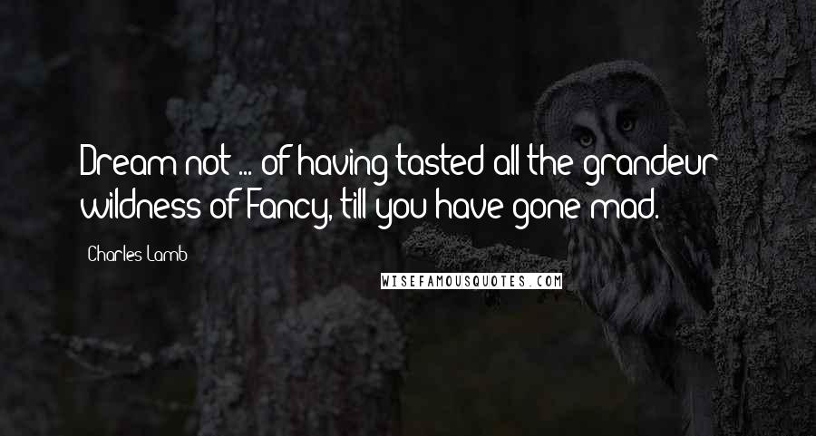 Charles Lamb Quotes: Dream not ... of having tasted all the grandeur & wildness of Fancy, till you have gone mad.