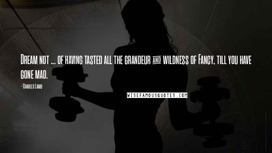 Charles Lamb Quotes: Dream not ... of having tasted all the grandeur & wildness of Fancy, till you have gone mad.