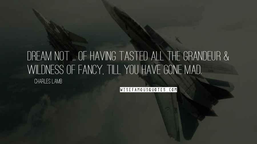 Charles Lamb Quotes: Dream not ... of having tasted all the grandeur & wildness of Fancy, till you have gone mad.