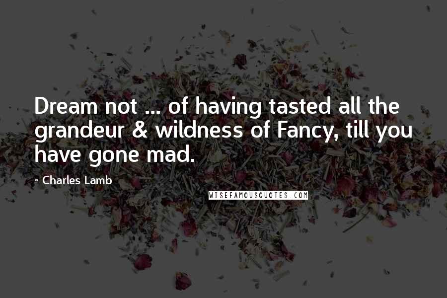 Charles Lamb Quotes: Dream not ... of having tasted all the grandeur & wildness of Fancy, till you have gone mad.