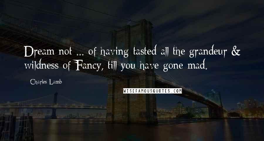 Charles Lamb Quotes: Dream not ... of having tasted all the grandeur & wildness of Fancy, till you have gone mad.