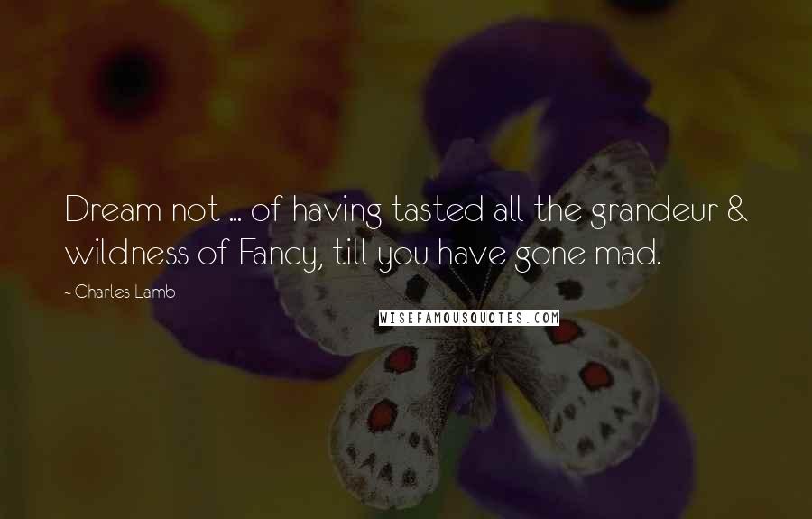 Charles Lamb Quotes: Dream not ... of having tasted all the grandeur & wildness of Fancy, till you have gone mad.