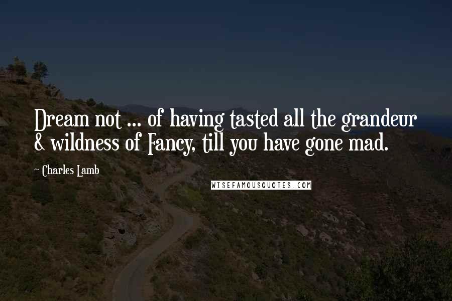 Charles Lamb Quotes: Dream not ... of having tasted all the grandeur & wildness of Fancy, till you have gone mad.