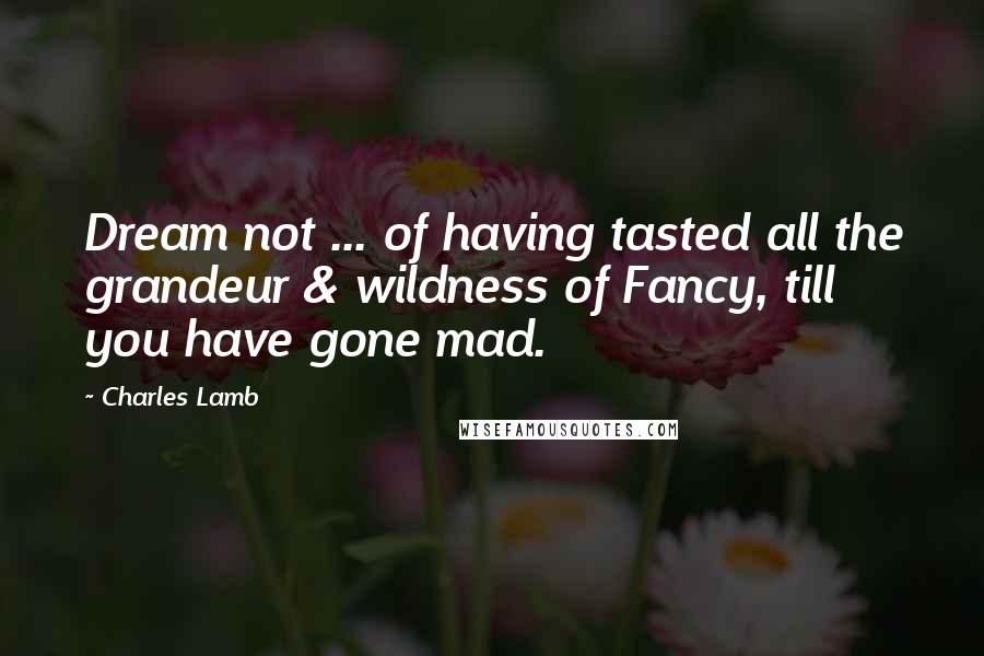 Charles Lamb Quotes: Dream not ... of having tasted all the grandeur & wildness of Fancy, till you have gone mad.