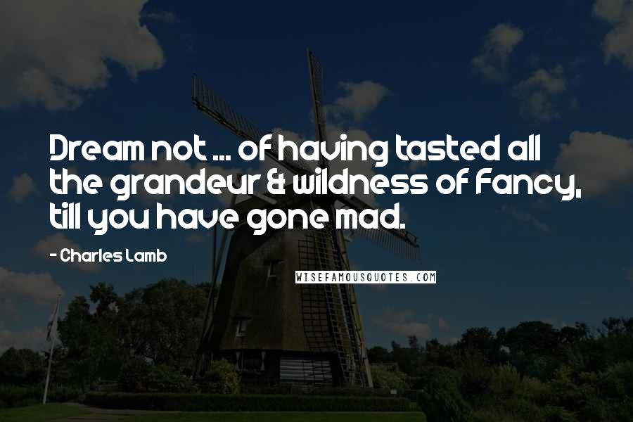 Charles Lamb Quotes: Dream not ... of having tasted all the grandeur & wildness of Fancy, till you have gone mad.