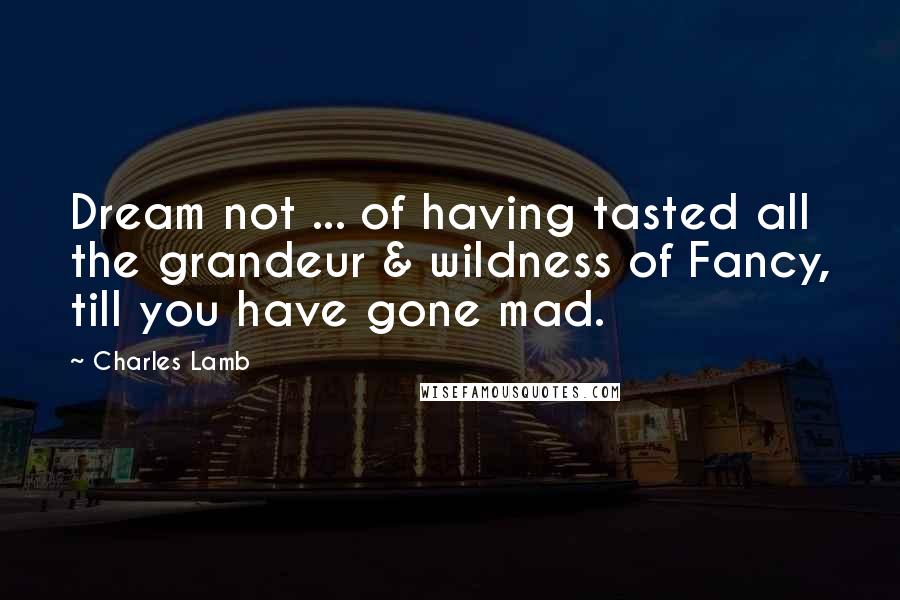 Charles Lamb Quotes: Dream not ... of having tasted all the grandeur & wildness of Fancy, till you have gone mad.