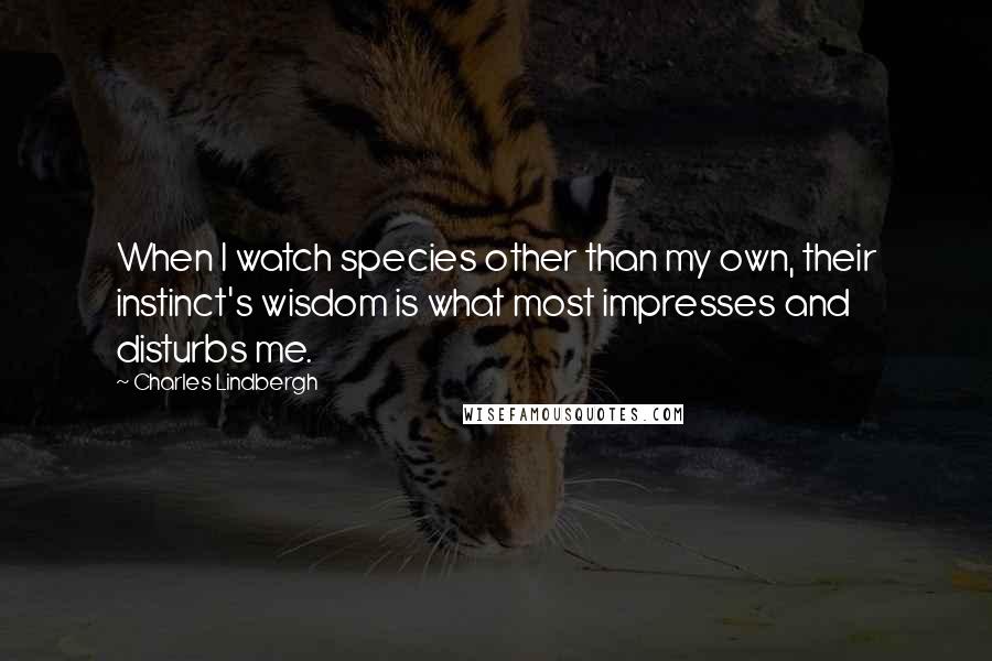 Charles Lindbergh Quotes: When I watch species other than my own, their instinct's wisdom is what most impresses and disturbs me.