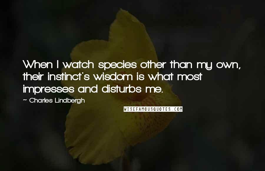 Charles Lindbergh Quotes: When I watch species other than my own, their instinct's wisdom is what most impresses and disturbs me.