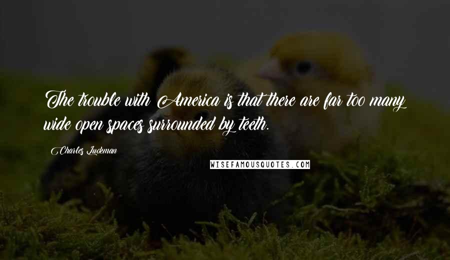 Charles Luckman Quotes: The trouble with America is that there are far too many wide open spaces surrounded by teeth.