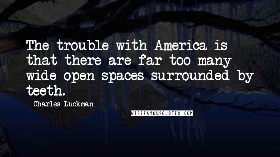 Charles Luckman Quotes: The trouble with America is that there are far too many wide open spaces surrounded by teeth.