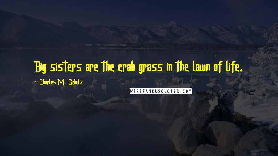 Charles M. Schulz Quotes: Big sisters are the crab grass in the lawn of life.
