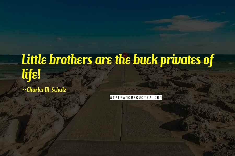 Charles M. Schulz Quotes: Little brothers are the buck privates of life!
