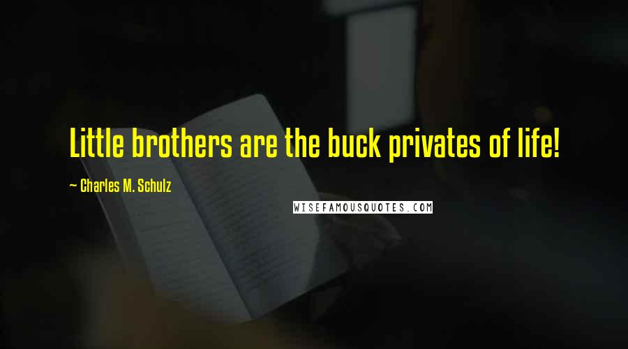 Charles M. Schulz Quotes: Little brothers are the buck privates of life!