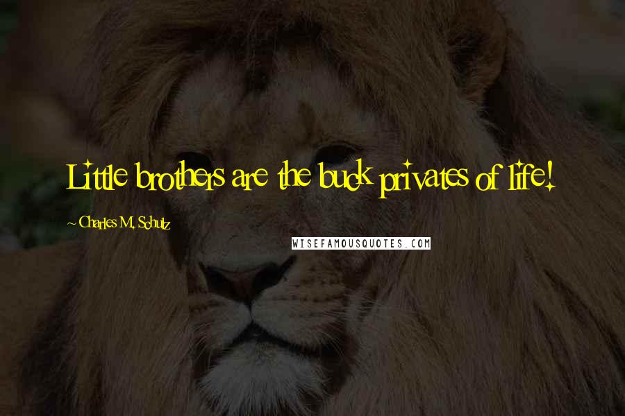 Charles M. Schulz Quotes: Little brothers are the buck privates of life!