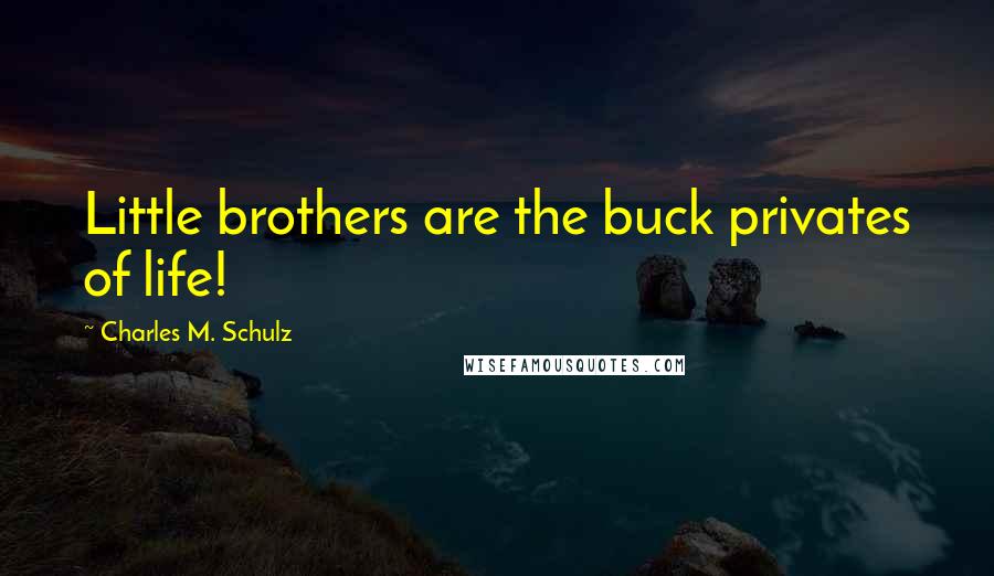 Charles M. Schulz Quotes: Little brothers are the buck privates of life!