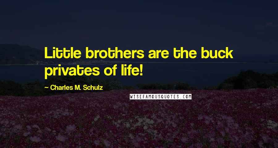 Charles M. Schulz Quotes: Little brothers are the buck privates of life!