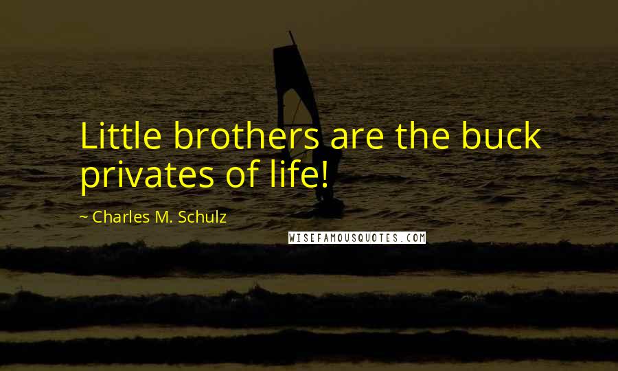 Charles M. Schulz Quotes: Little brothers are the buck privates of life!