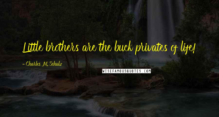 Charles M. Schulz Quotes: Little brothers are the buck privates of life!