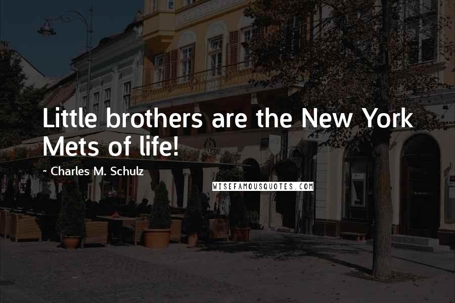 Charles M. Schulz Quotes: Little brothers are the New York Mets of life!