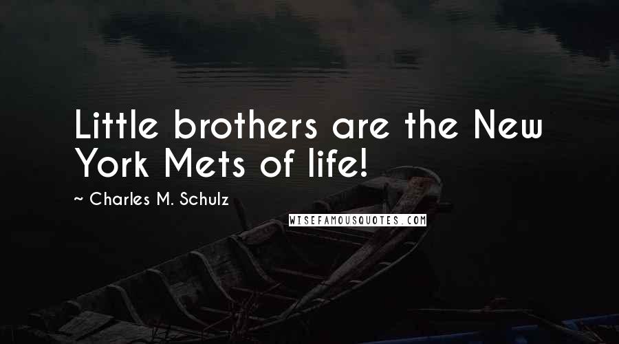 Charles M. Schulz Quotes: Little brothers are the New York Mets of life!