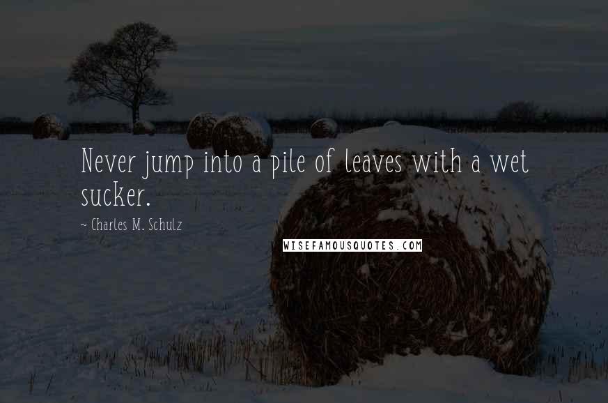 Charles M. Schulz Quotes: Never jump into a pile of leaves with a wet sucker.