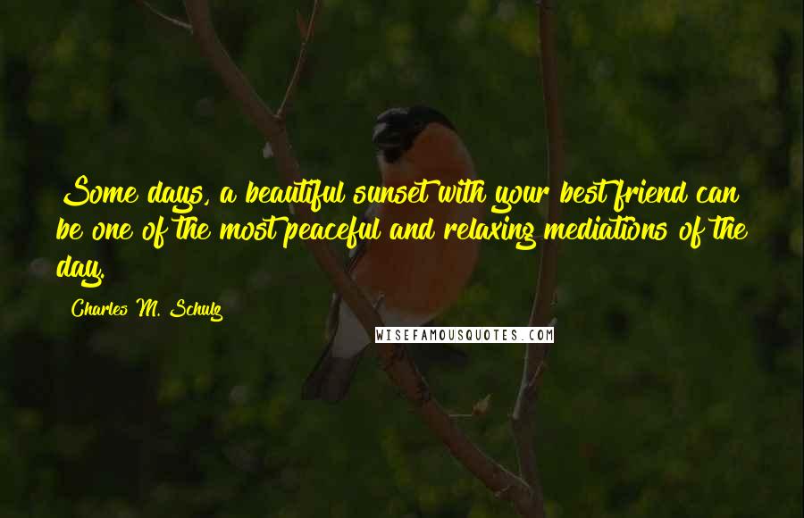 Charles M. Schulz Quotes: Some days, a beautiful sunset with your best friend can be one of the most peaceful and relaxing mediations of the day.
