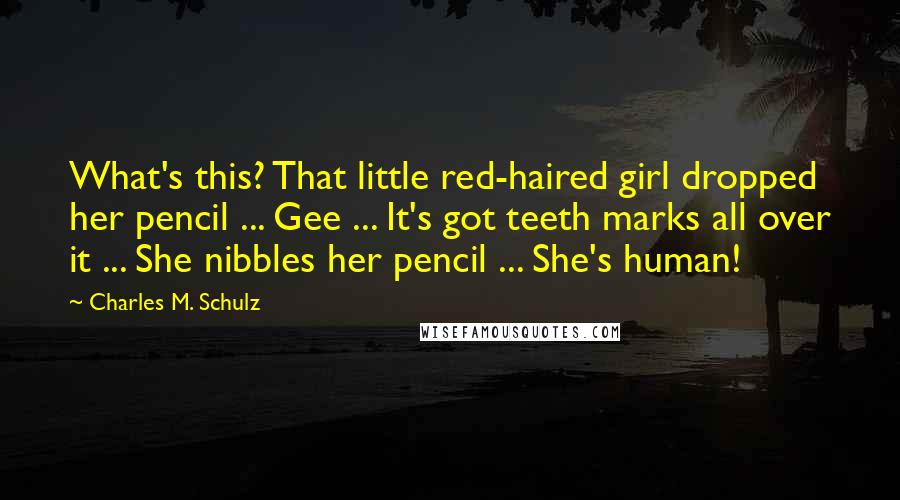 Charles M. Schulz Quotes: What's this? That little red-haired girl dropped her pencil ... Gee ... It's got teeth marks all over it ... She nibbles her pencil ... She's human!