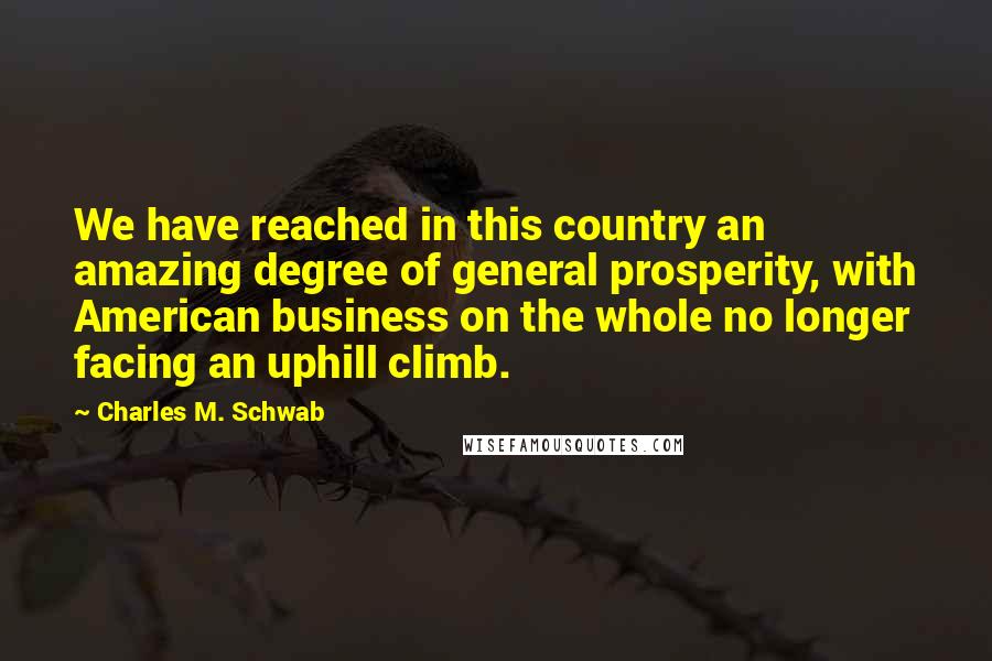 Charles M. Schwab Quotes: We have reached in this country an amazing degree of general prosperity, with American business on the whole no longer facing an uphill climb.