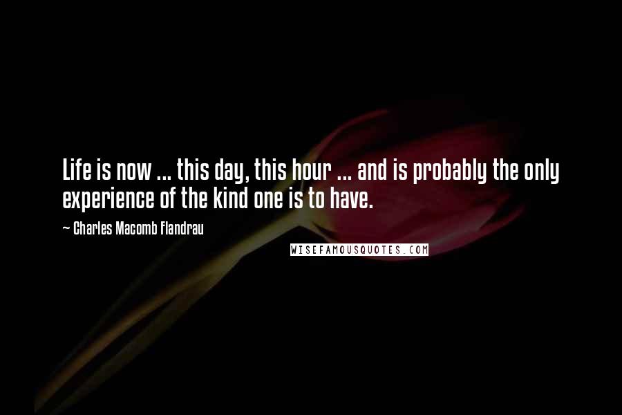 Charles Macomb Flandrau Quotes: Life is now ... this day, this hour ... and is probably the only experience of the kind one is to have.