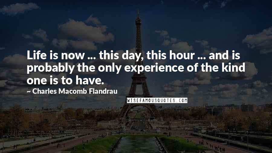 Charles Macomb Flandrau Quotes: Life is now ... this day, this hour ... and is probably the only experience of the kind one is to have.