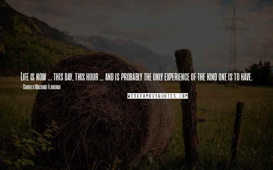 Charles Macomb Flandrau Quotes: Life is now ... this day, this hour ... and is probably the only experience of the kind one is to have.