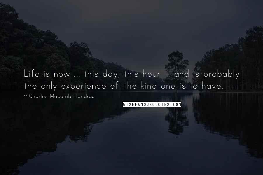 Charles Macomb Flandrau Quotes: Life is now ... this day, this hour ... and is probably the only experience of the kind one is to have.