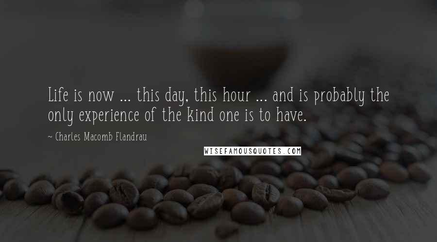 Charles Macomb Flandrau Quotes: Life is now ... this day, this hour ... and is probably the only experience of the kind one is to have.