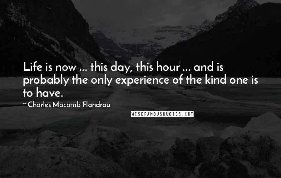 Charles Macomb Flandrau Quotes: Life is now ... this day, this hour ... and is probably the only experience of the kind one is to have.