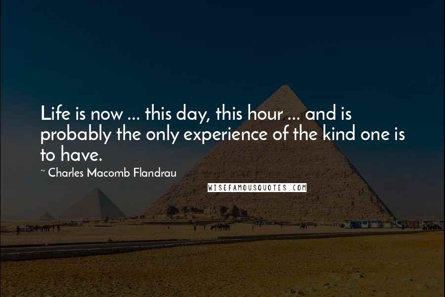 Charles Macomb Flandrau Quotes: Life is now ... this day, this hour ... and is probably the only experience of the kind one is to have.