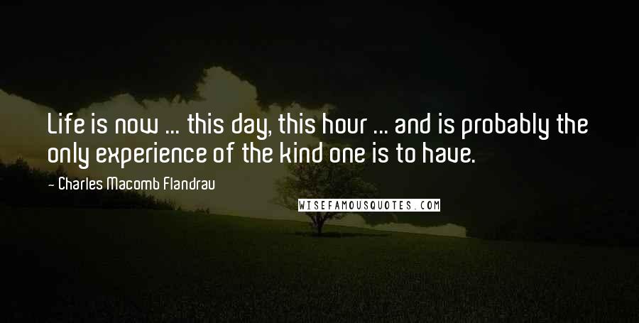 Charles Macomb Flandrau Quotes: Life is now ... this day, this hour ... and is probably the only experience of the kind one is to have.