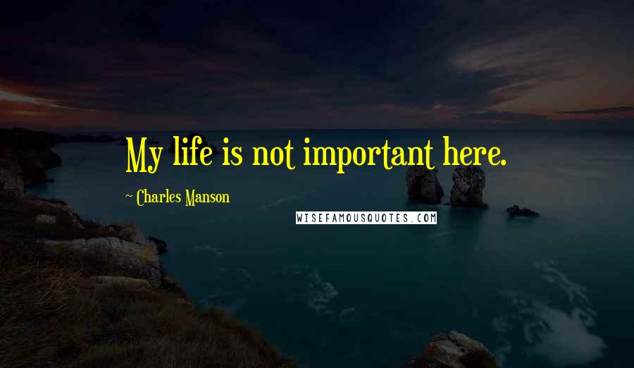 Charles Manson Quotes: My life is not important here.