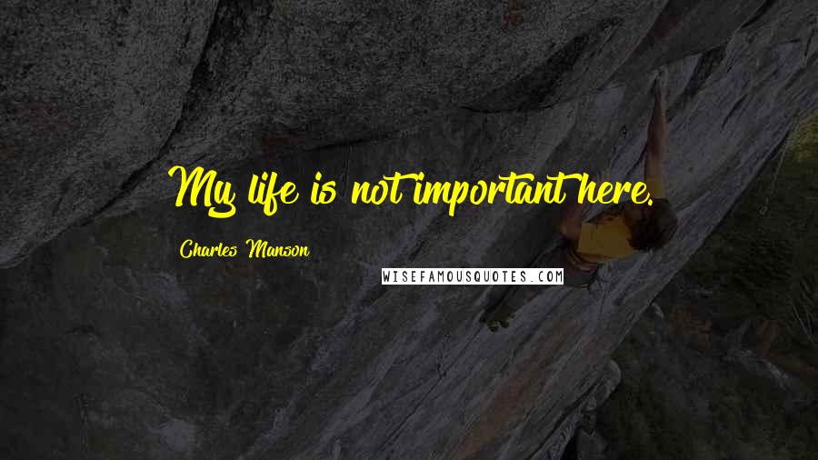 Charles Manson Quotes: My life is not important here.