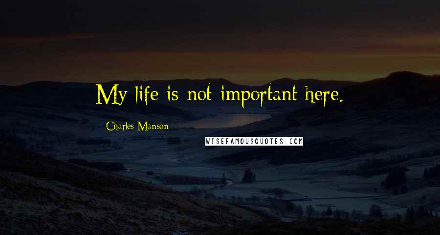 Charles Manson Quotes: My life is not important here.