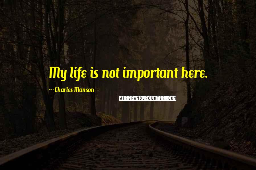 Charles Manson Quotes: My life is not important here.